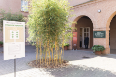 CONFIDA_Assemblea_Generale_2025_005_web