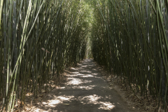 CONFIDA_Assemblea_Generale_2025_294_web